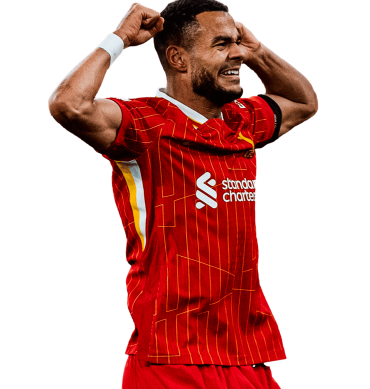 Cody Gakpo PNG Liverpool Football Image Render